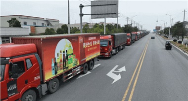 馬年“開(kāi)門紅”！長(zhǎng)康集團(tuán)首日訂單額突破3000萬(wàn)元